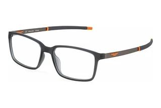 Police VPLF85 07VG MATT TRANSP.GREY