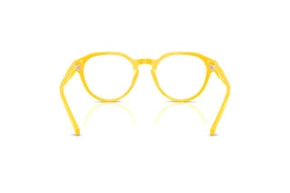 Vue arrière Polo PH2233 (5420)