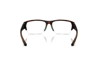 Vue arrière Polo PH2279U (6070)