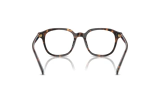 Vue arrière Polo PH2283U (6213)