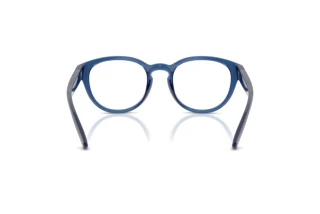 Vue arrière Polo PH2293U (5717)