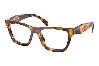 Prada PR C10V 14L1O1 Honey Tortoise