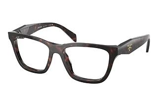 Prada PR C10V 17N1O1 Root Tortoise
