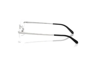 Vue latérale Ralph Lauren RL5134 (9001)