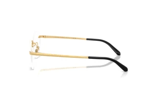 Vue latérale Ralph Lauren RL5134 (9004)