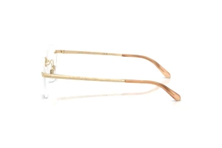 Vue latérale Ralph Lauren RL5134 (9116)