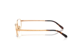 Vue latérale Ralph Lauren RL5140 (9153)