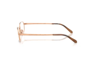 Vue latérale Ralph Lauren RL5140 (9329)