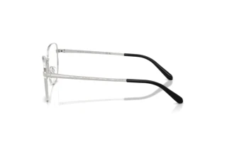 Vue latérale Ralph Lauren RL5141 (9001)