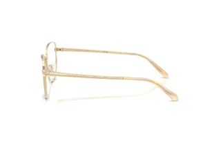 Vue latérale Ralph Lauren RL5141 (9116)