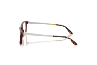 Vue latérale Ralph Lauren RL6128 (6311)