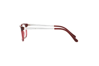 Vue latérale Ralph Lauren RL6135 (5144)