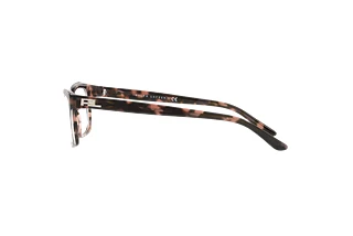 Vue latérale Ralph Lauren RL6169 (5655)