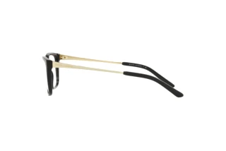 Vue latérale Ralph Lauren RL6206 (5001)