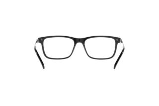 Vue arrière Ralph Lauren RL6215 (5001)