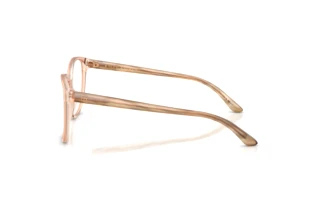 Vue latérale Ralph Lauren RL6222 (6110)