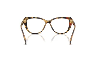 Vue arrière Ralph Lauren RL6232U (5004)