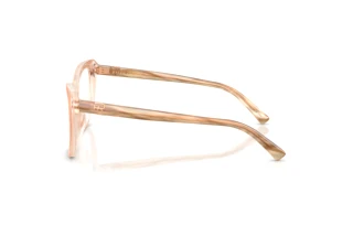 Vue latérale Ralph Lauren RL6232U (6110)