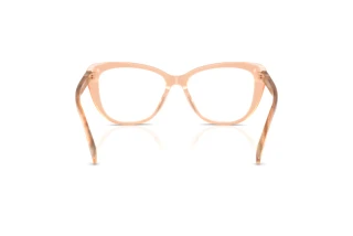 Vue arrière Ralph Lauren RL6232U (6110)