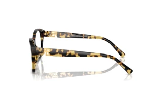 Vue latérale Ralph Lauren RL6236U (5004)