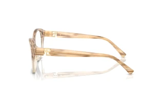 Vue latérale Ralph Lauren RL6236U (6111)