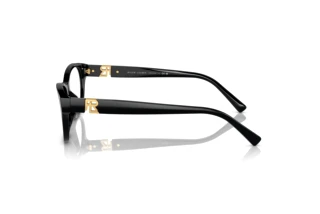 Vue latérale Ralph Lauren RL6237U (5001)