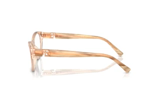 Vue latérale Ralph Lauren RL6237U (6110)