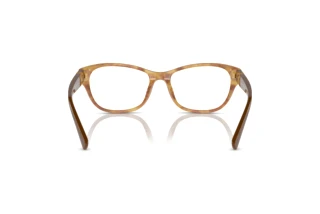 Vue arrière Ralph Lauren RL6237U (6113)