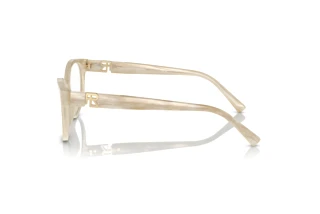 Vue latérale Ralph Lauren RL6238U (6107)