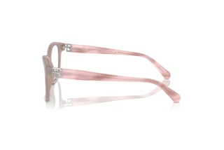 Vue latérale Ralph Lauren RL6243 (6183)