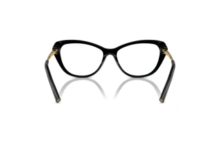 Vue arrière Ralph Lauren RL6245 (5001)