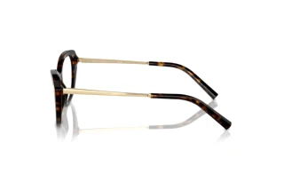 Vue latérale Ralph Lauren RL6245 (5003)