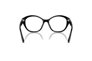 Vue arrière Ralph Lauren RL6246U (5001)