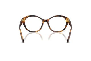 Vue arrière Ralph Lauren RL6246U (5134)