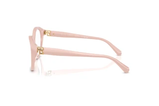 Vue latérale Ralph Lauren RL6246U (6053)