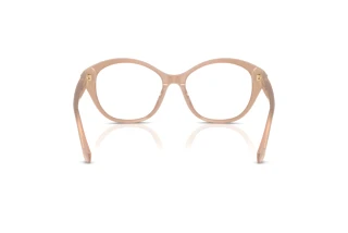 Vue arrière Ralph Lauren RL6246U (6217)