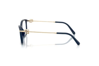 Vue latérale Ralph Lauren RL6247U (6215)