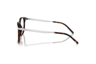 Vue latérale Ralph Lauren RL6248U (5003)