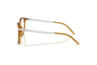 Vue latérale Ralph Lauren RL6248U (5275)