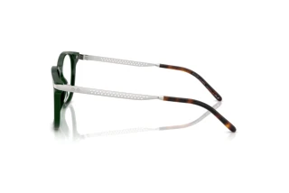 Vue latérale Ralph Lauren RL6248U (6140)