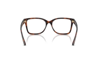 Vue arrière Ralph Lauren RL6251U (6241)