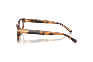 Vue latérale Ralph Lauren RL6257U (6089)