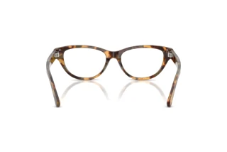 Vue arrière Ralph Lauren RL6257U (6178)