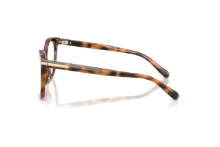 Vue latérale Ralph Lauren RL6266U (6089)