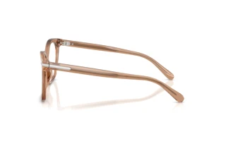 Vue latérale Ralph Lauren RL6266U (6377)