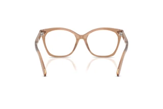 Vue arrière Ralph Lauren RL6266U (6377)