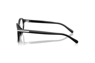 Vue latérale Ralph Lauren RL6267U (5001)