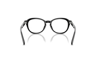 Vue arrière Ralph Lauren RL6267U (5001)