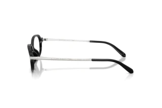 Vue latérale Ralph Lauren RL6269U (5001)