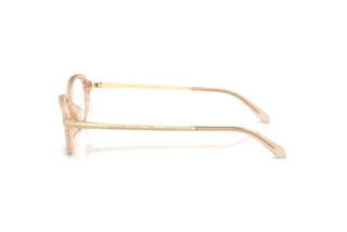 Vue latérale Ralph Lauren RL6269U (6062)